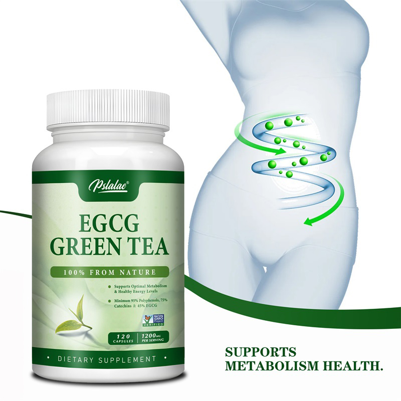 Green Tea Extract Fat - สารสกัดชาเขียว EGCG-ช่วยเพิ่มการเผาผลาญและสนับสนุนการเผาผลาญไขมันที่ดีต่อสุขภาพเพิ่มพลังงานและโฟกัส