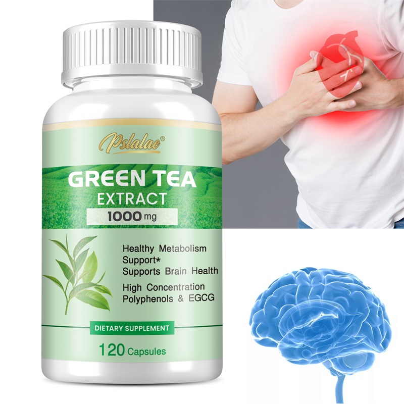 Green Tea Extract Fat - สารสกัดจากชาเขียว - มีโพลีฟีนอล 98% และ EGCG